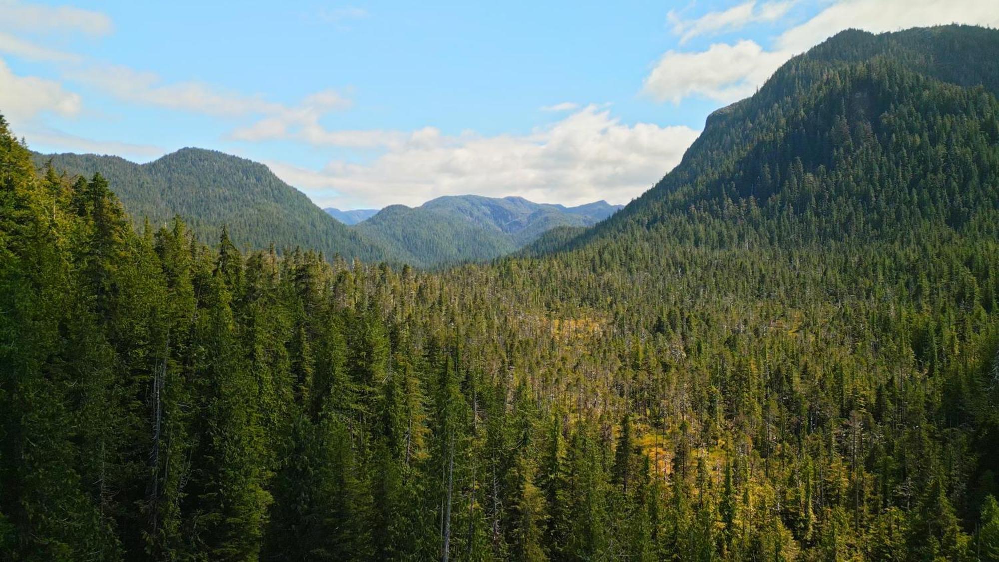 Sportsman'S Cove Lodge Ketchikan Bagian luar foto
