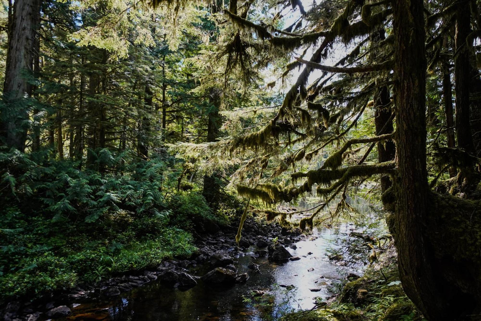 Sportsman'S Cove Lodge Ketchikan Bagian luar foto